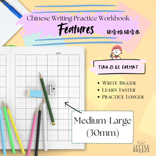 Chinese Writing Tian Zi Ge Notebook 中文田字格 (30mm) Pink