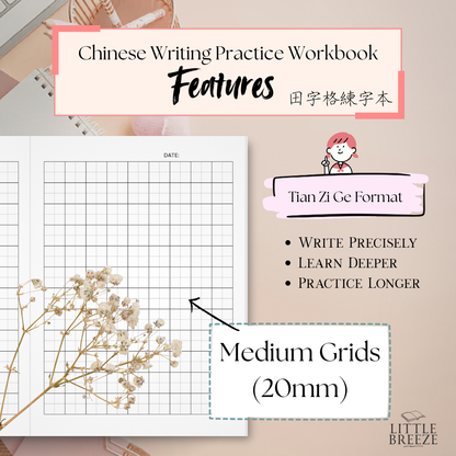 Chinese Writing Tian Zi Ge Notebook 中文田字格 (20mm) Blue